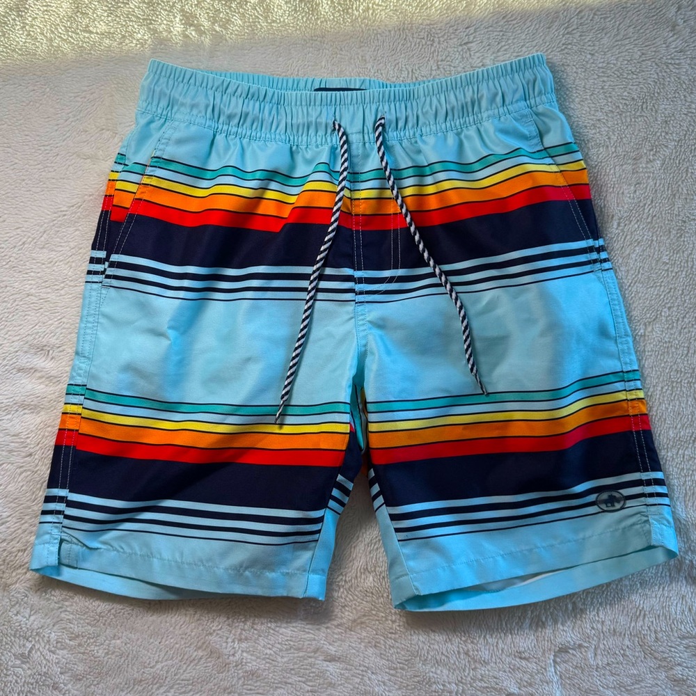 Men's Multicolor Striped Swim Trunks, Small